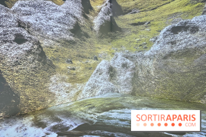 Topologie de l’Eau : Roches, Plantes et Vent