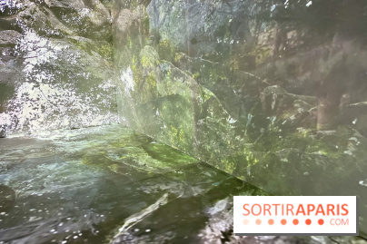 Topologie de l’Eau : Roches, Plantes et Vent