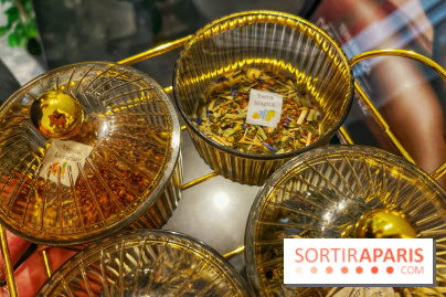 Hôtel et spa Belmont - IMG 3129