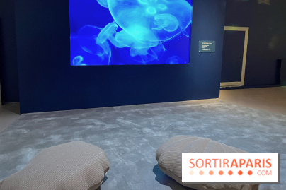 Transparence au Palais des enfants - nos photos - A9C8FEA1 98EA 4475 B97F A6EDF86F4C96