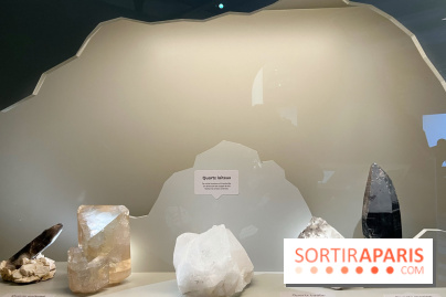 Transparence au Palais des enfants - nos photos - A6B826E2 B80F 4301 9DF2 02FE493C6560