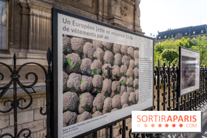 Hôtel de Ville - De Paris à Belem - Forêt Urbaine - Obey  - A7C03051