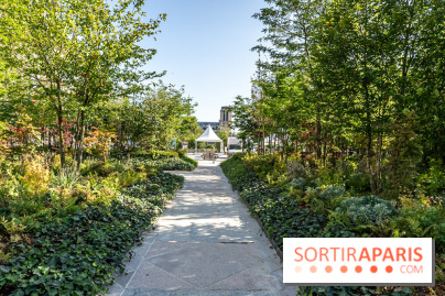 Hôtel de Ville - De Paris à Belem - Forêt Urbaine - Obey  - A7C03314