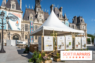 Hôtel de Ville - De Paris à Belem - Forêt Urbaine - Obey  - A7C03321