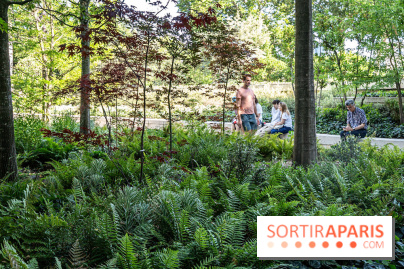 Hôtel de Ville - De Paris à Belem - Forêt Urbaine - Obey  - A7C03326