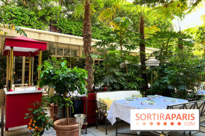 Patio terrasse La Réserve Paris - Terrasse