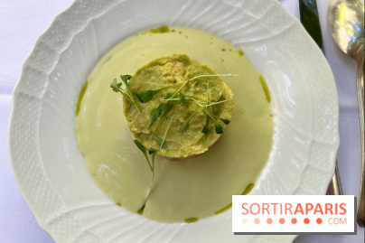 Patio terrasse La Réserve Paris - Ceviche de daurade