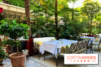 Patio terrasse La Réserve Paris - Terrasse