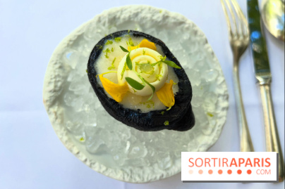 Patio terrasse La Réserve Paris - Citron givré