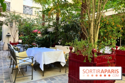 Patio terrasse La Réserve Paris - Terrasse