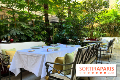 Patio terrasse La Réserve Paris - Terrasse