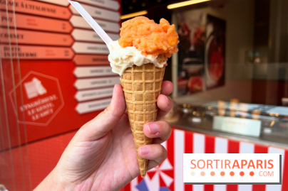 La Glace Alain Ducasse - Sorbet pamplemousse-vermouth, glace cacahuètes