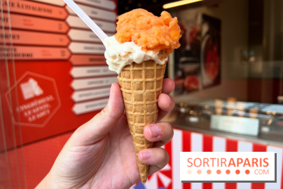 La Glace Alain Ducasse - Sorbet pamplemousse-vermouth, glace cacahuètes