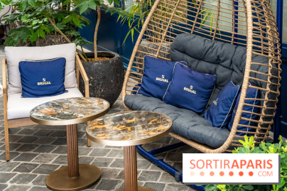 Maison Delano restaurant et terrasse cachée Paris 8e - terrasse