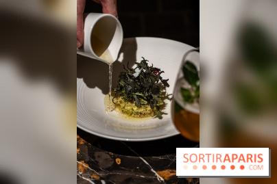 Maison Delano restaurant et terrasse cachée Paris 8e - tourteau au bouillon dashi