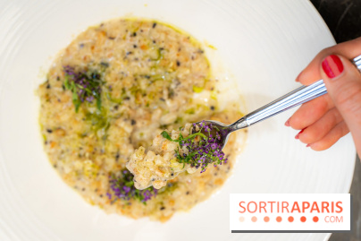 Maison Delano restaurant et terrasse cachée Paris 8e - céleri façon risotto