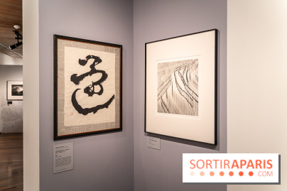 Exposition Haïkus d’argent, l’Asie photographiée par Michael Kenna au MuséeGuimet, les photos - A7C02206