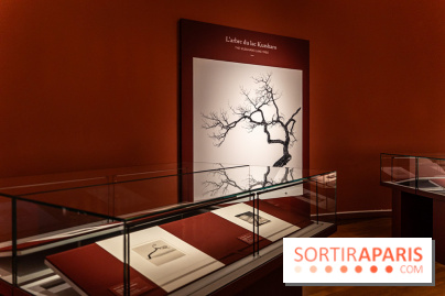 Exposition Haïkus d’argent, l’Asie photographiée par Michael Kenna au MuséeGuimet, les photos - A7C02215