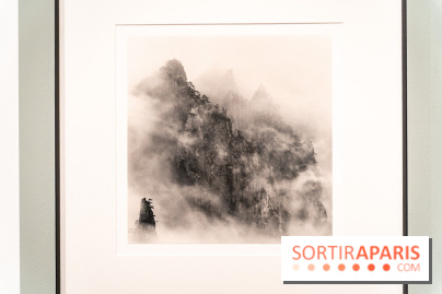 Exposition Haïkus d’argent, l’Asie photographiée par Michael Kenna au MuséeGuimet, les photos - A7C02218