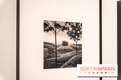 Exposition Haïkus d’argent, l’Asie photographiée par Michael Kenna au MuséeGuimet, les photos