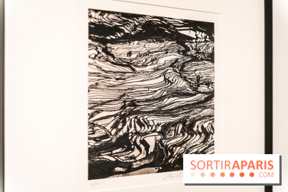 Exposition Haïkus d’argent, l’Asie photographiée par Michael Kenna au MuséeGuimet, les photos - A7C02222