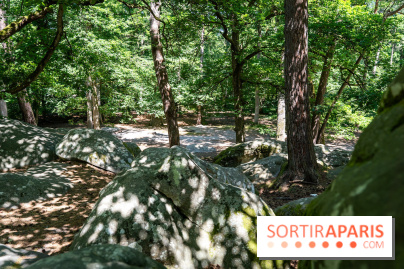 La Folie Barbizon, l'hôtel et restaurant renait entre art et nature - les photos  - A7C03869