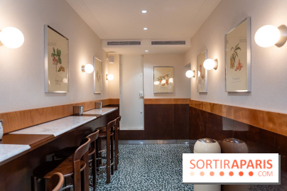 Pedone, le glacier Italien Paris 1er