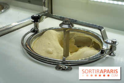 Pedone, le glacier Italien Paris 1er