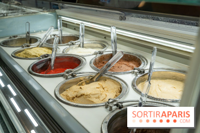 Pedone, le glacier Italien Paris 1er