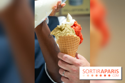 Pedone, le glacier Italien Paris 1er