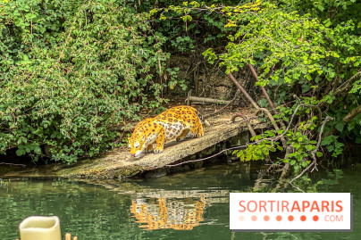 Adventure Boat : l’expérience immersive sur un bateau à Nogent-sur-Marne - IMG 6607