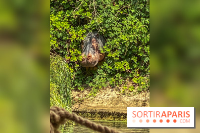 Adventure Boat : l’expérience immersive sur un bateau à Nogent-sur-Marne - IMG 6611
