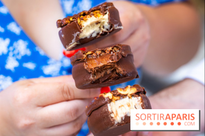Les bouchées glacées de la Chocolaterie William Artigue, les esquimaux gourmands