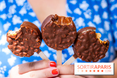 Les bouchées glacées de la Chocolaterie William Artigue, les esquimaux gourmands