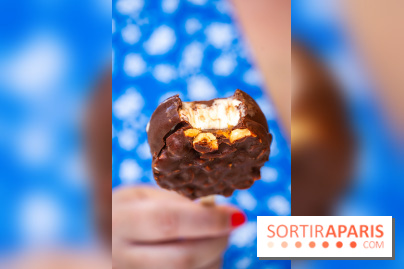 Les bouchées glacées de la Chocolaterie William Artigue, les esquimaux gourmands
