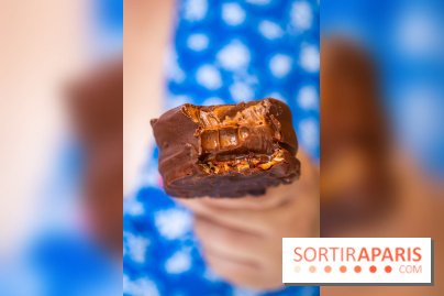 Les bouchées glacées de la Chocolaterie William Artigue, les esquimaux gourmands - A7C04203