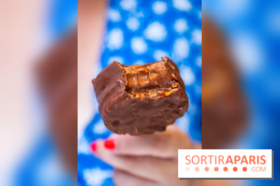Les bouchées glacées de la Chocolaterie William Artigue, les esquimaux gourmands