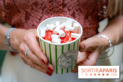 Les glaces gourmandes de l'Épicerie du Bristol - les photos