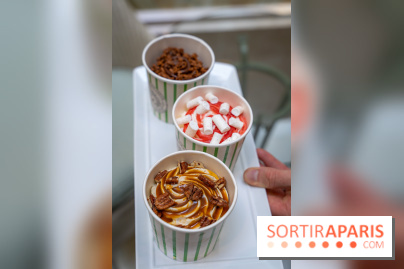 Les glaces gourmandes de l'Épicerie du Bristol - les photos