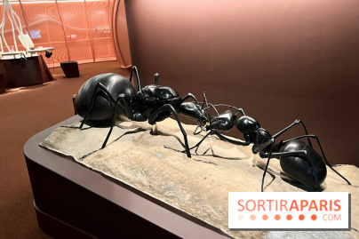 La nouvelle Cité des enfants - nos photos - A1630C18 FB12 4E27 B2A1 7D3E82BD2511