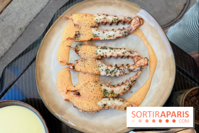 Divellec - Langoustines grillées