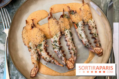 Divellec - Langoustines grillées