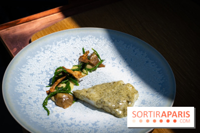 Restaurant Papylles à Bois-le-Roi - les photos - Saint-Pierre de nos côtes Glacé aux algues, artichauts poivrades, pâte de citron