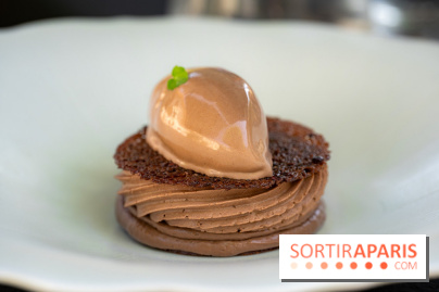 Restaurant Papylles à Bois-le-Roi - les photos - Le chocolat 66% Nicolas Berger En texture et en crémeux, praliné au grué de cacao, sorbet chocolat