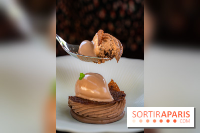 Restaurant Papylles à Bois-le-Roi - les photos - Le chocolat 66% Nicolas Berger En texture et en crémeux, praliné au grué de cacao, sorbet chocolat