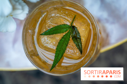 Frivole, restaurant festif, bar et terrasse cachée à Paris, les photos - A7C04326