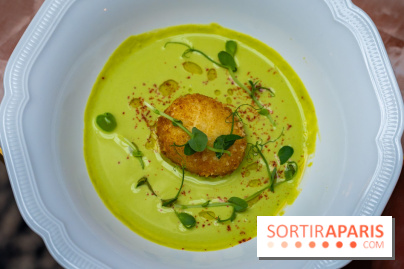 Frivole, restaurant festif, bar et terrasse cachée à Paris, les photos - A7C04339