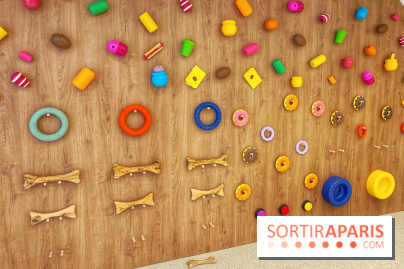 The Dogry - IMG 3582