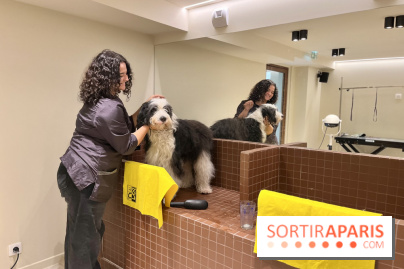 The Dogry - IMG 3595