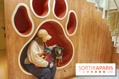 The Dogry - IMG 3596